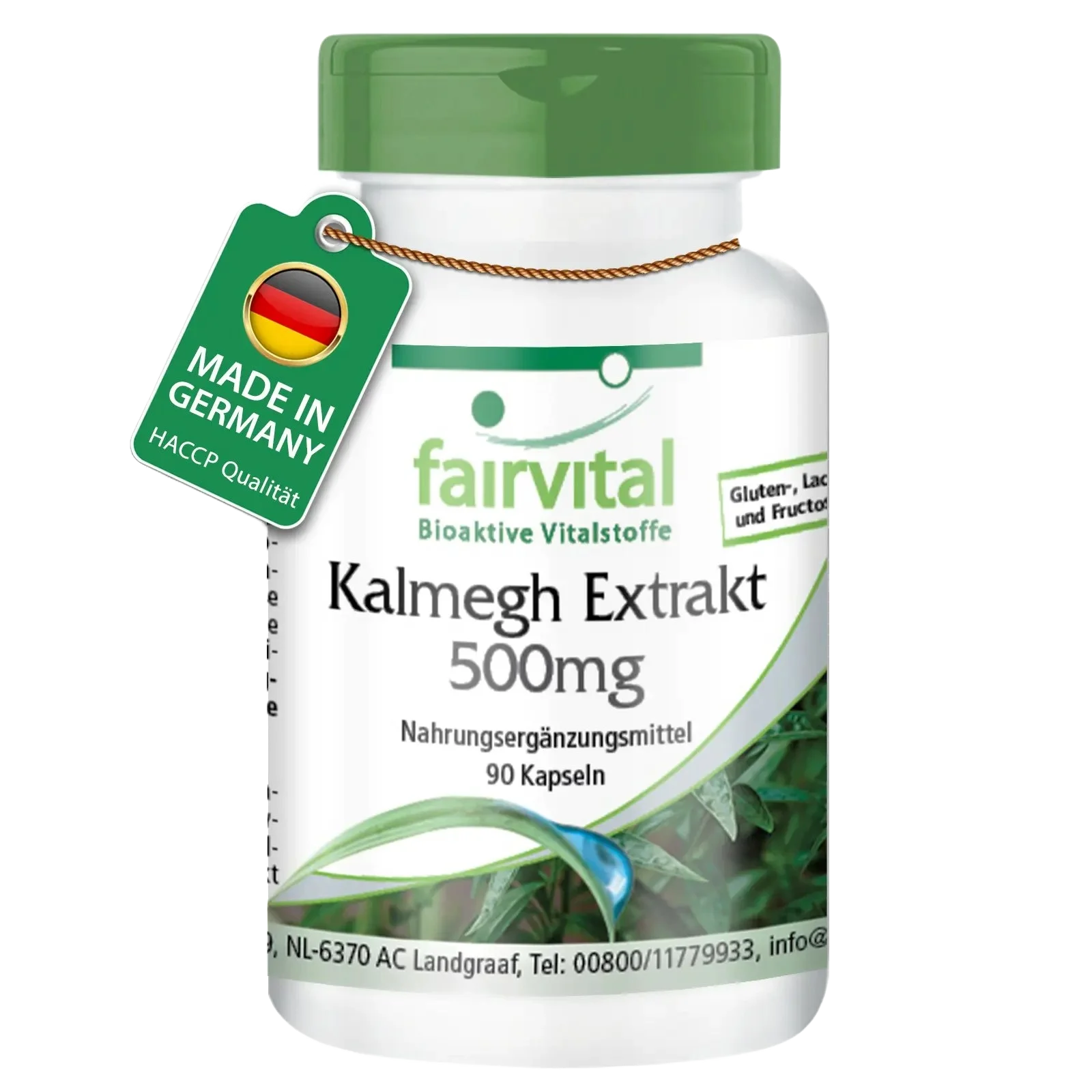 Kalmegh Extrakt 500mg