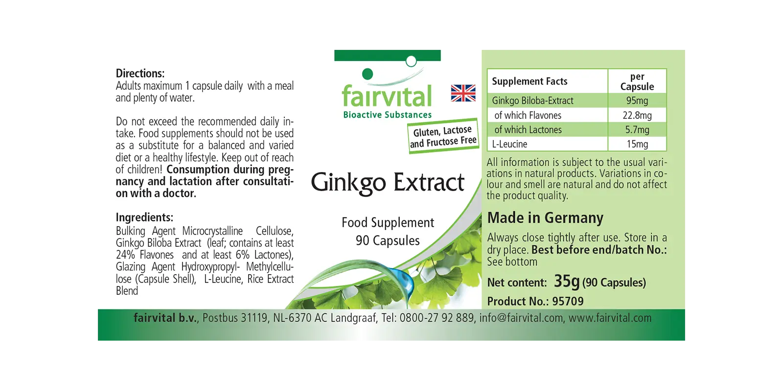 Ginkgo-extract 100mg - 90 capsules