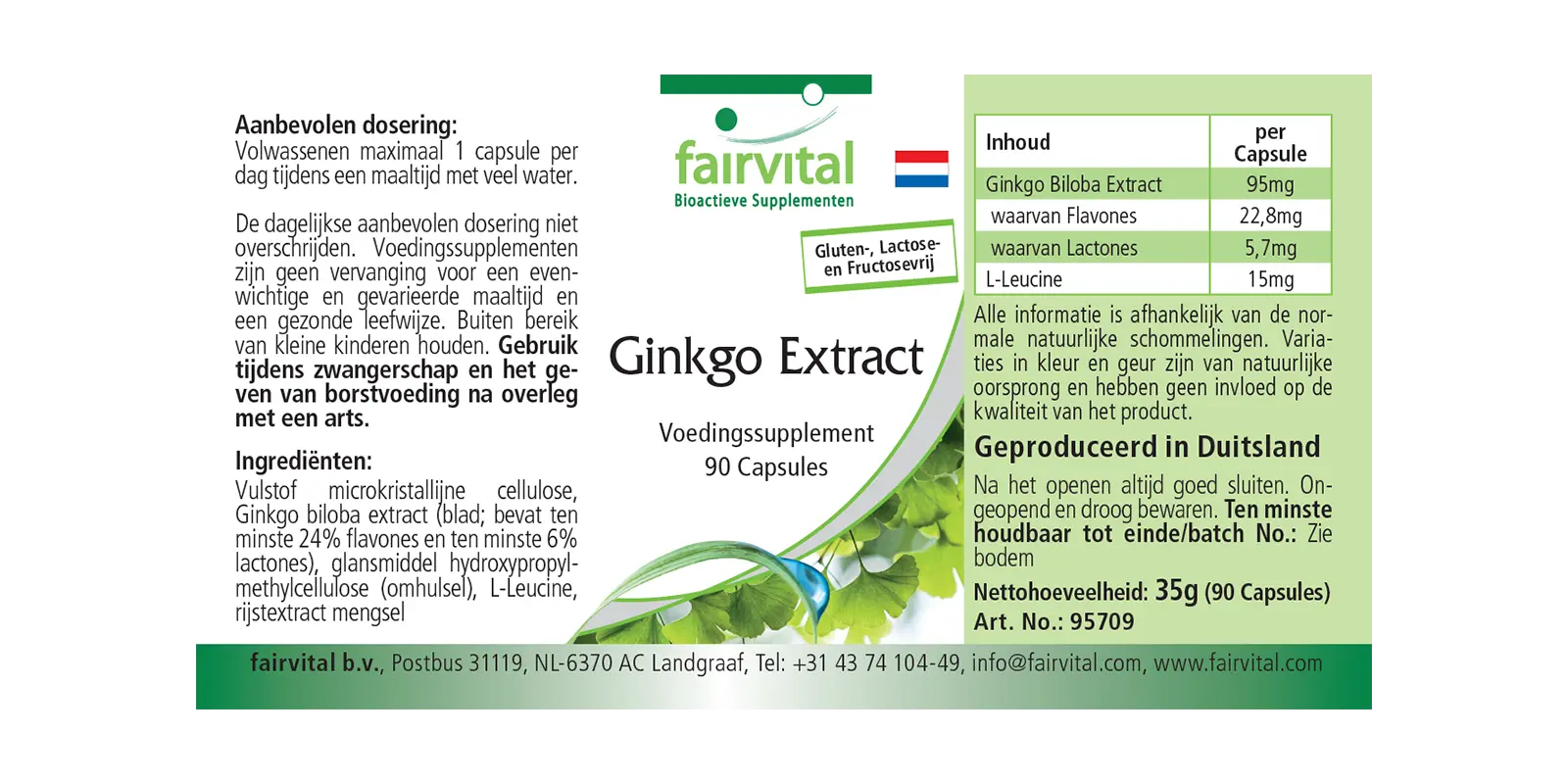 Ginkgo-extract 100mg - 90 capsules