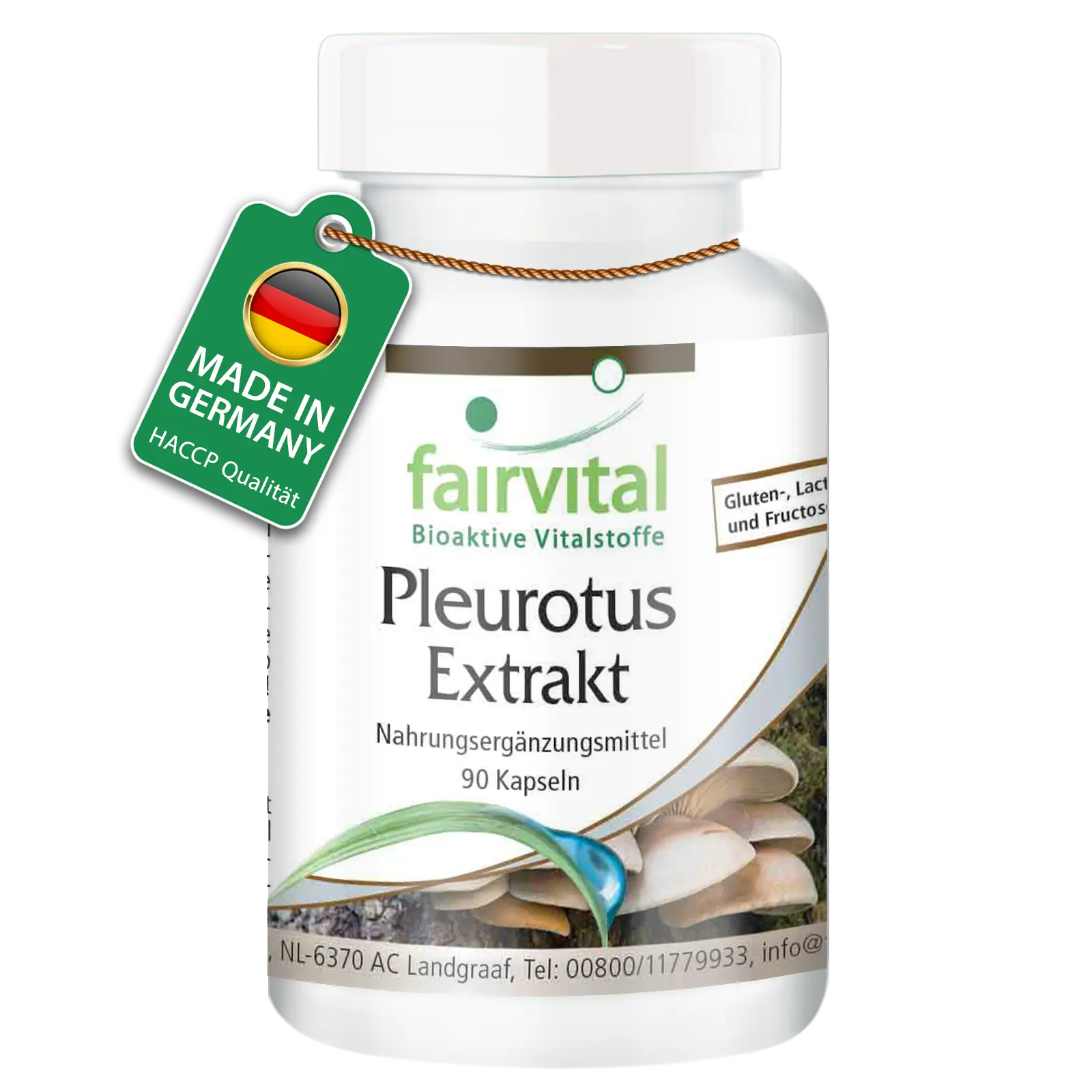 Pleurotus Extract - 90 Capsules