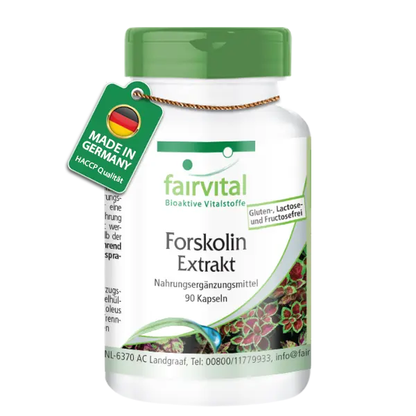 Forskolin Extract