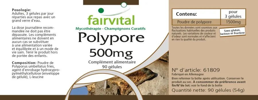 Polyporus 500mg - le champignon pur - 90 gélules