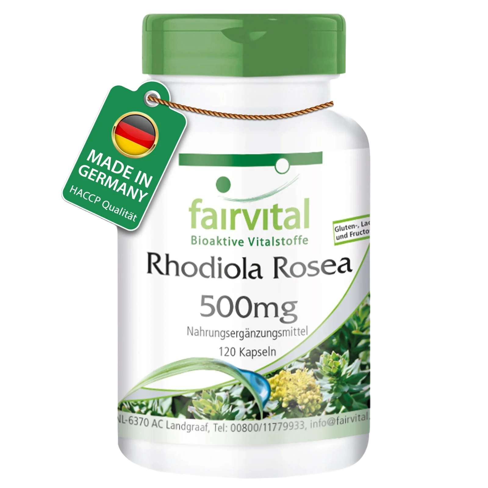 Rhodiola Rosea 500mg - 120 Cápsulas