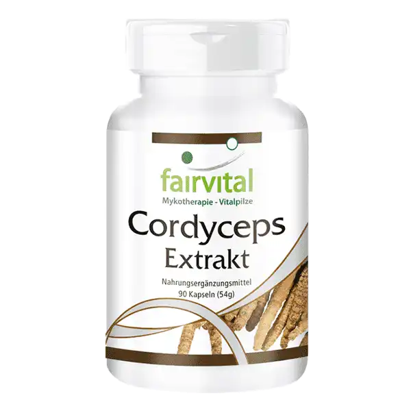 Cordyceps Extrakt