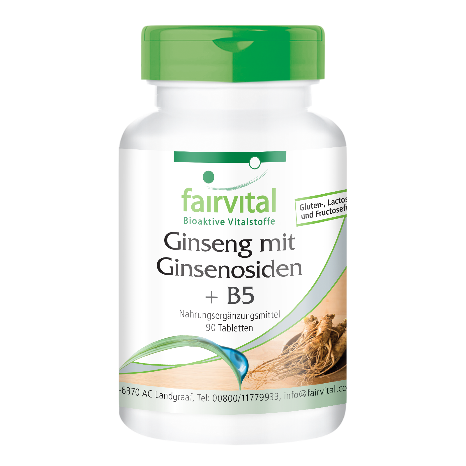 Ginseng with Ginsenosides + B5 - 90 Tablets