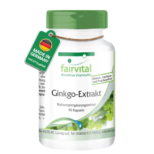 Ginkgo Extrakt 100mg