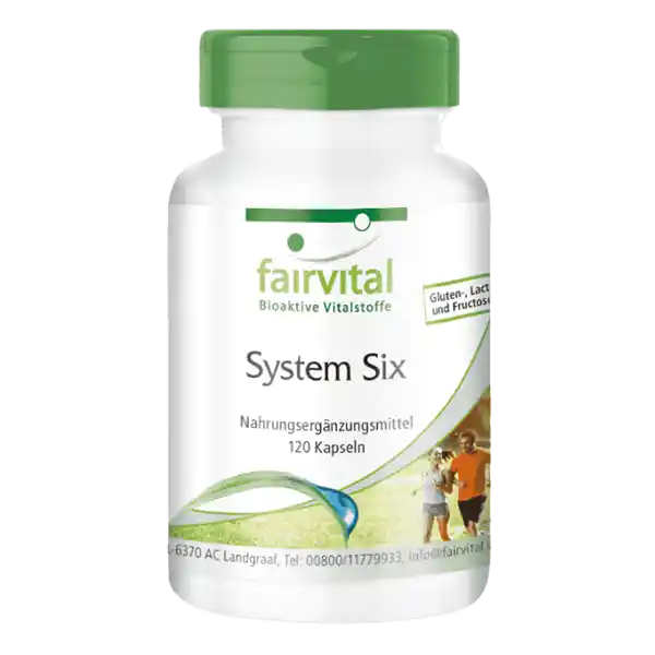 System Six - Sale - best before - 05/25