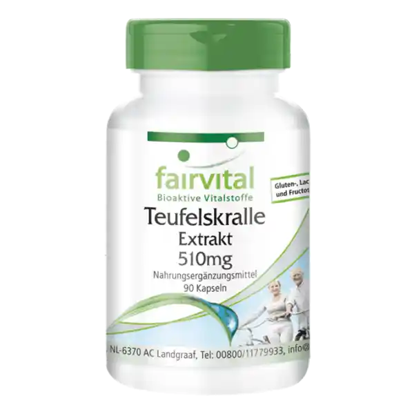 Teufelskralle Extrakt 510mg