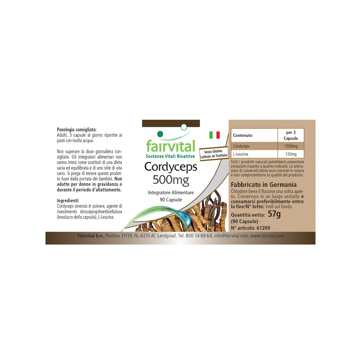 Cordyceps 500mg