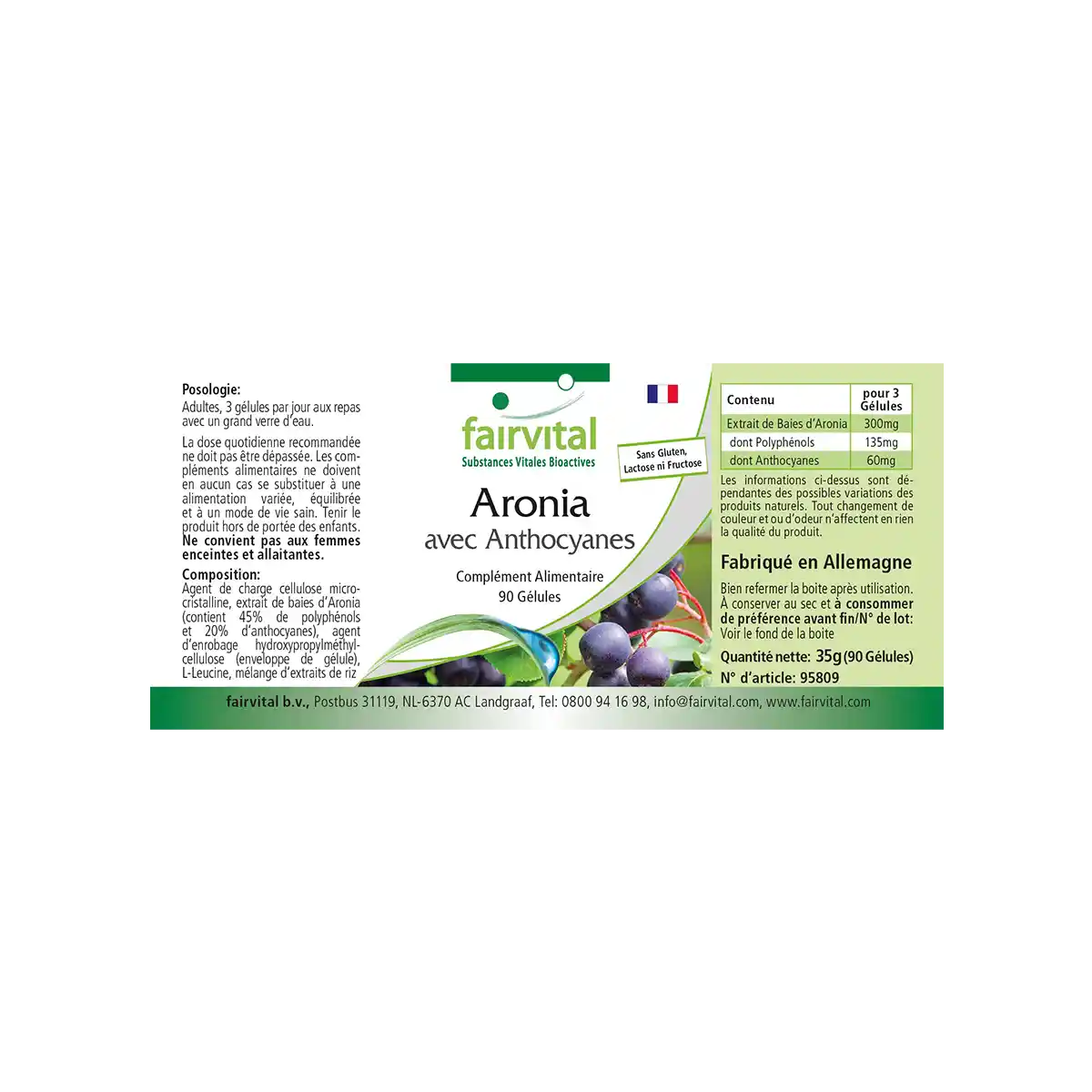 Aronia capsules with anthocyanins - 90 capsules