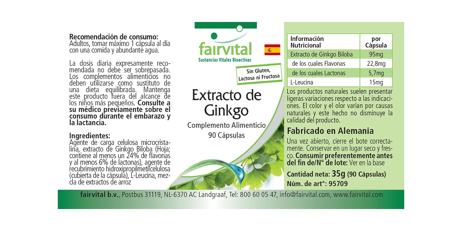 Ginkgo Extrakt 100mg