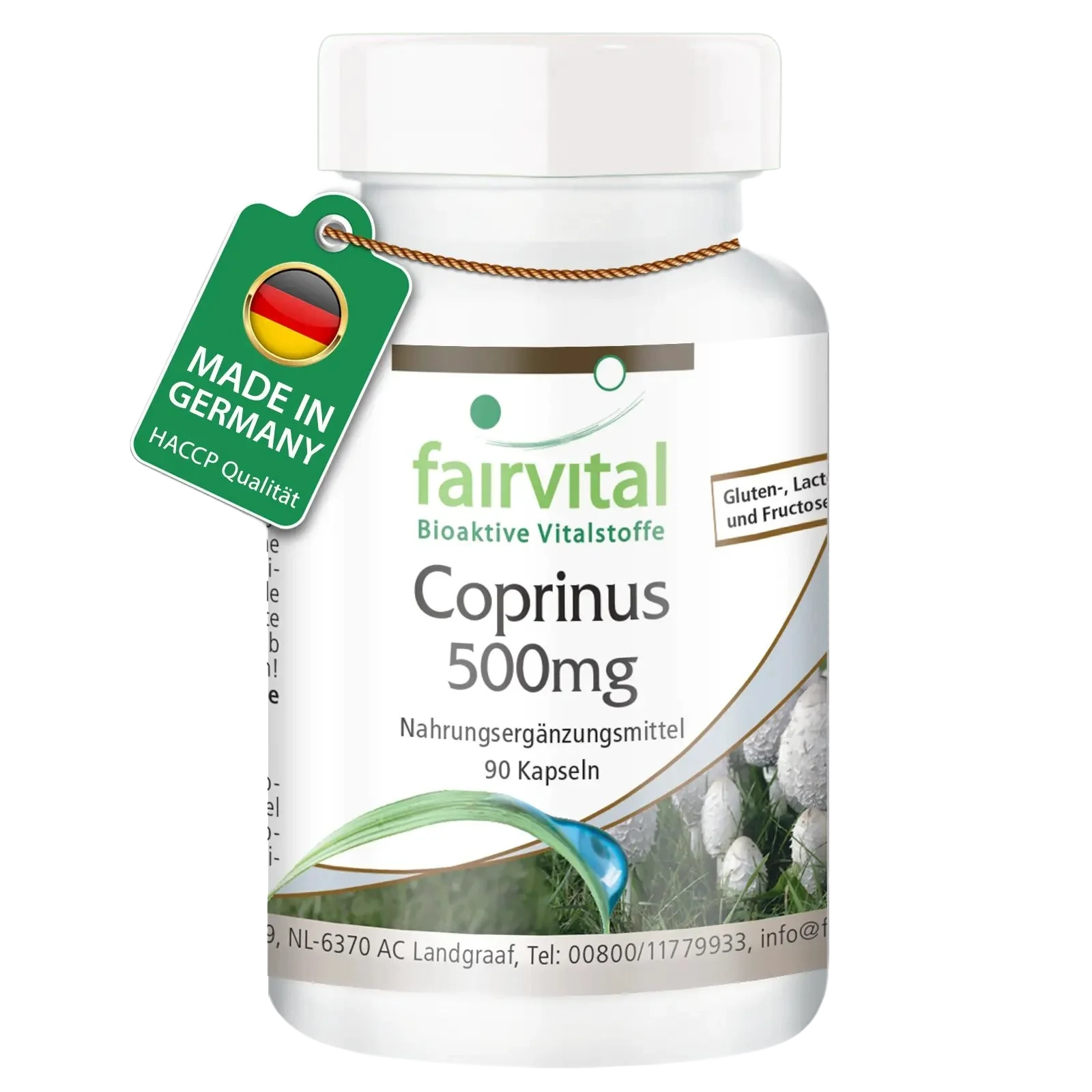 Coprinus 500mg - 90 gélules