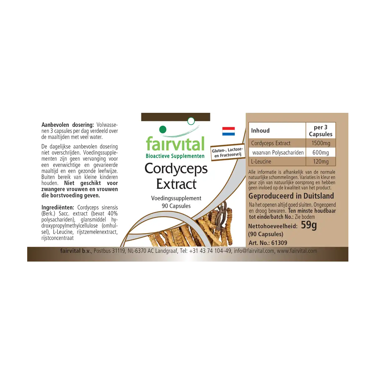 Cordyceps extract - 90 capsules