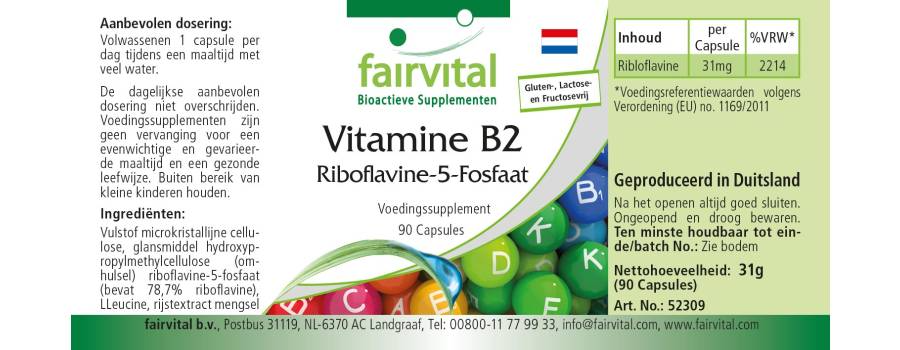 Riboflavina-5-Fosfato - 90 Cápsulas