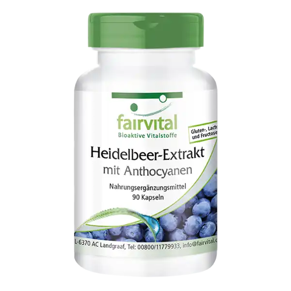 Bilberry extract with anthocyanins - 90 capsules