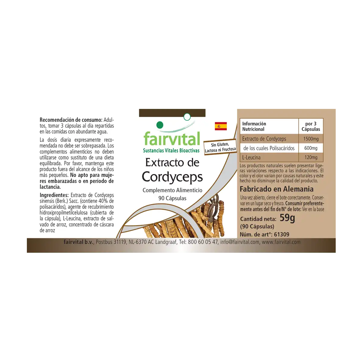 Extracto de Cordyceps - 90 Cápsulas