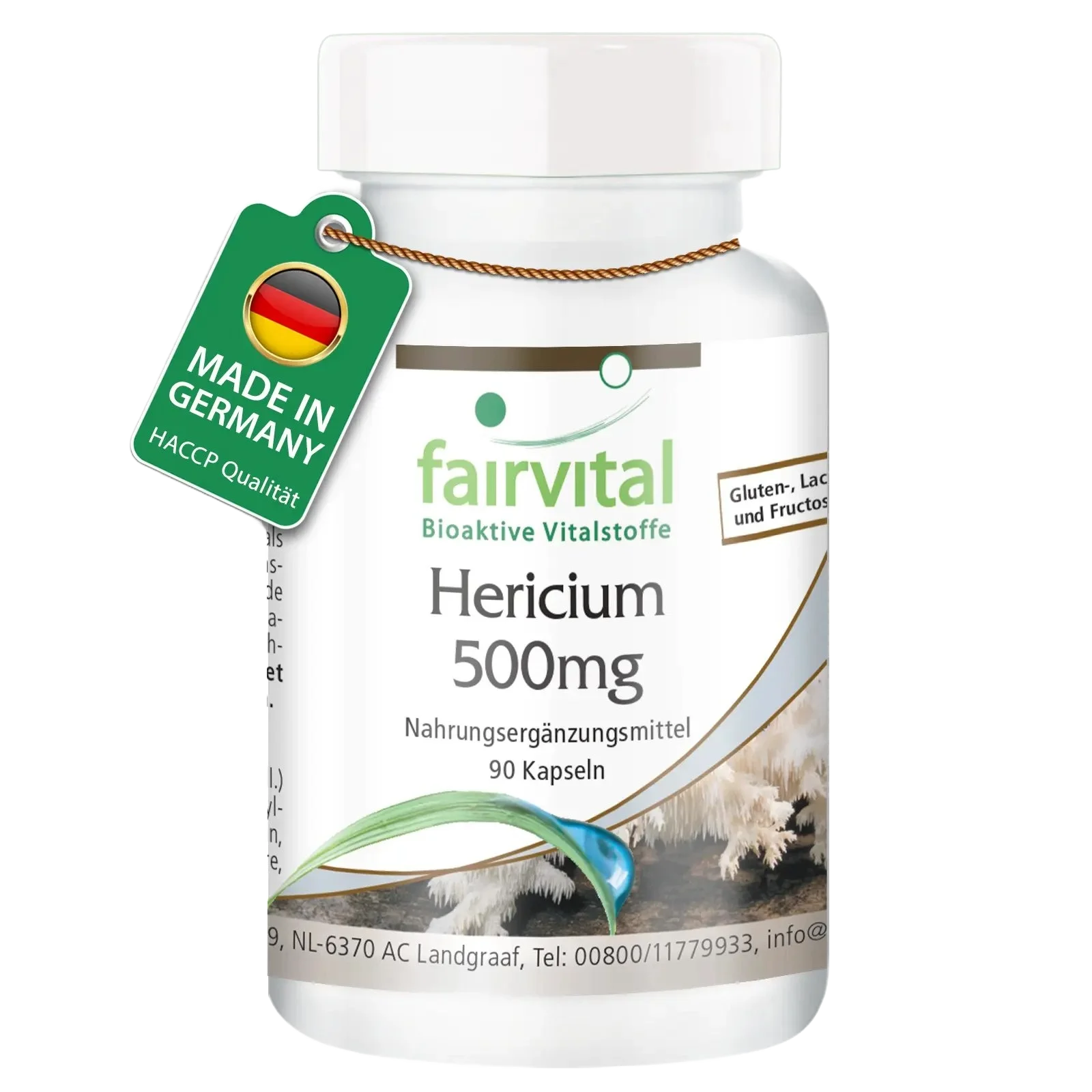 Héricium 500mg - 90 gélules