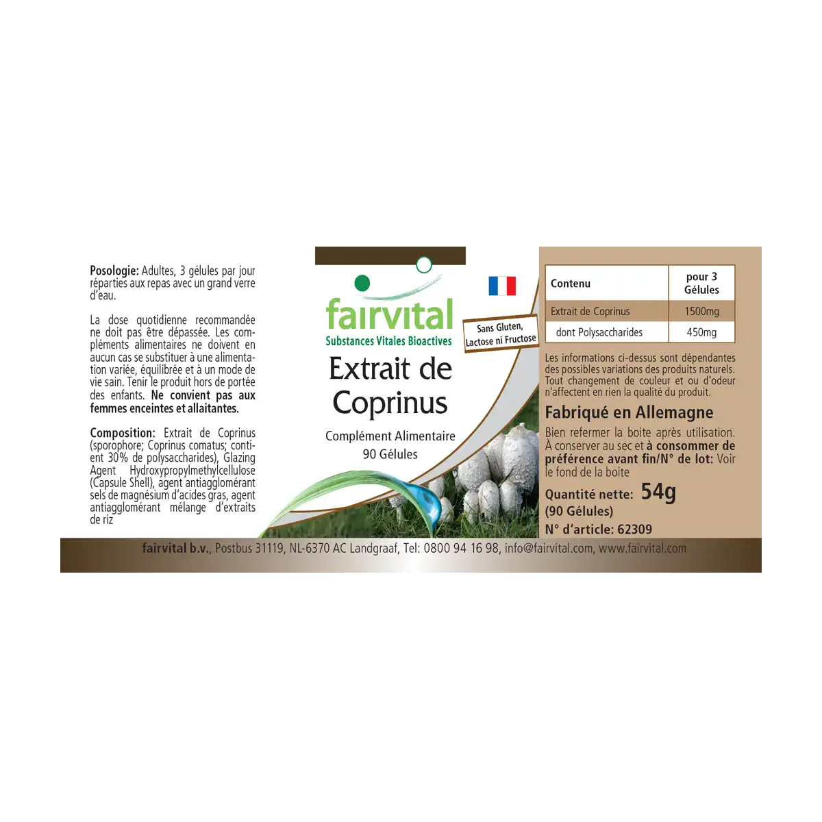 Extrait de Coprinus 500mg - 90 gélules