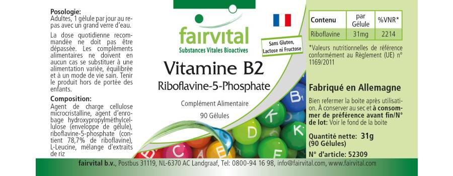 Riboflavine 5-phosphate - 90 gélules