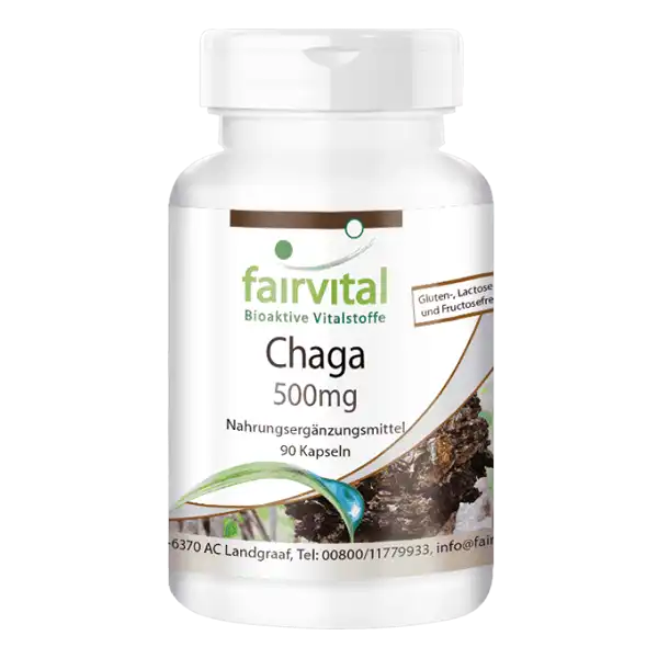 Chaga 500mg