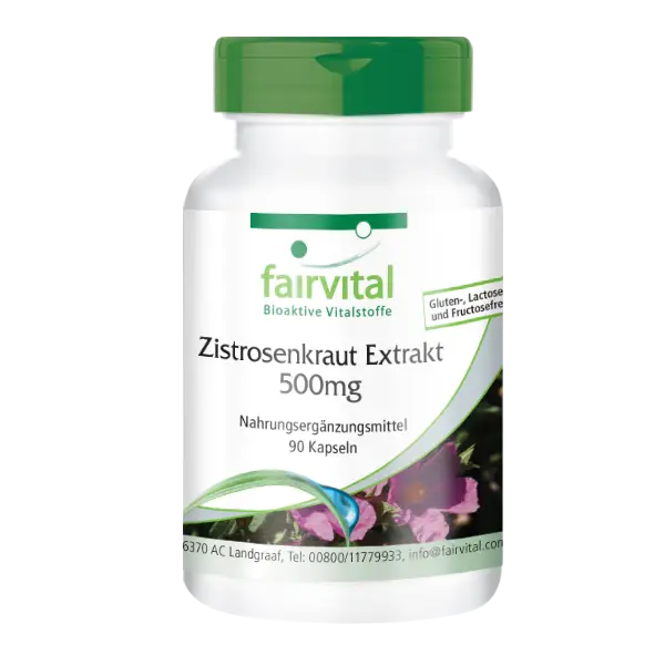 Zistrosenkraut Extrakt 500mg