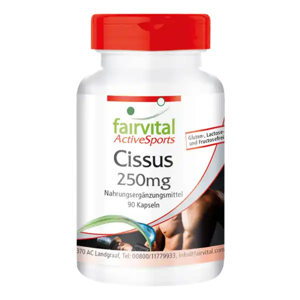 Cissus 250mg - 90 Cápsulas