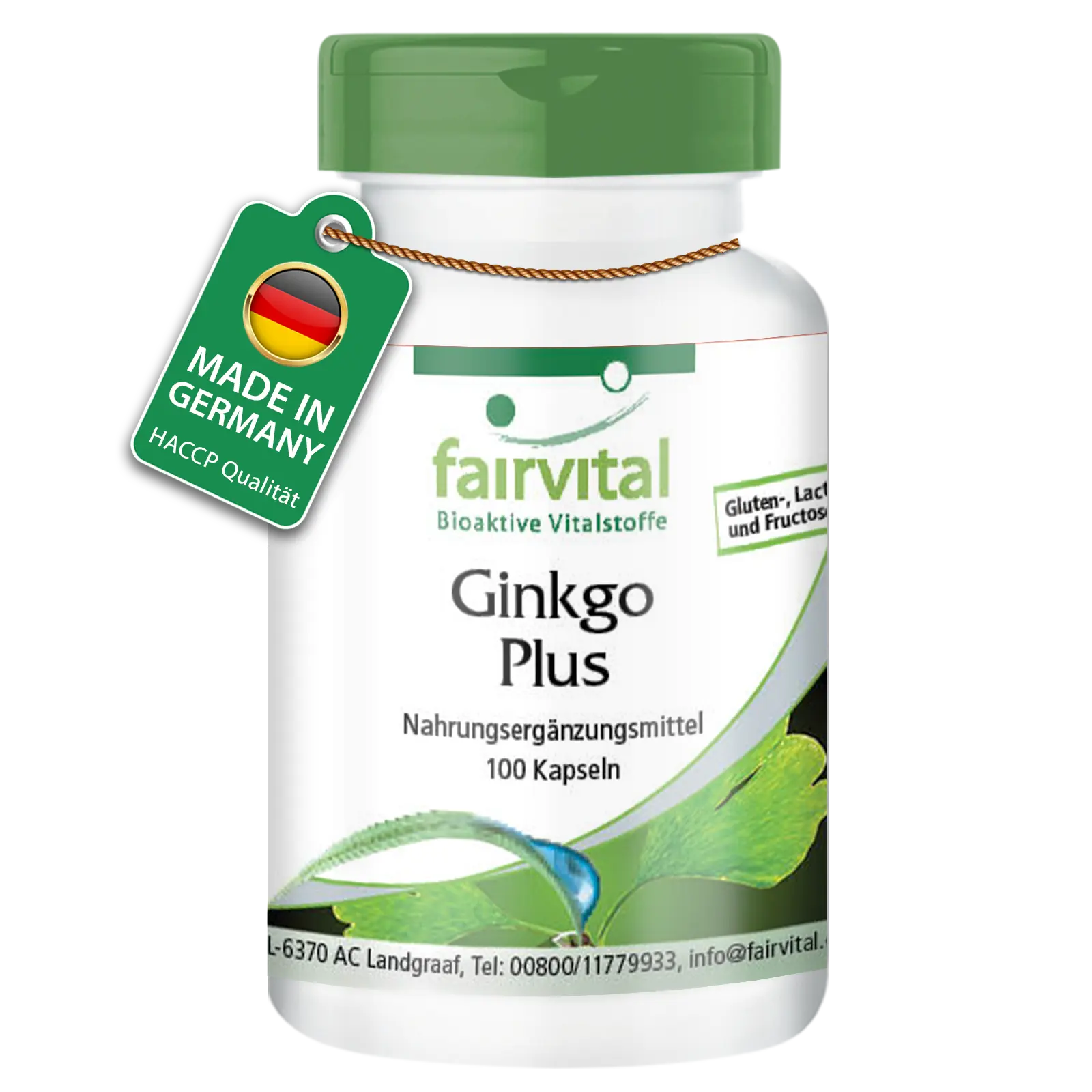 Ginkgo Plus