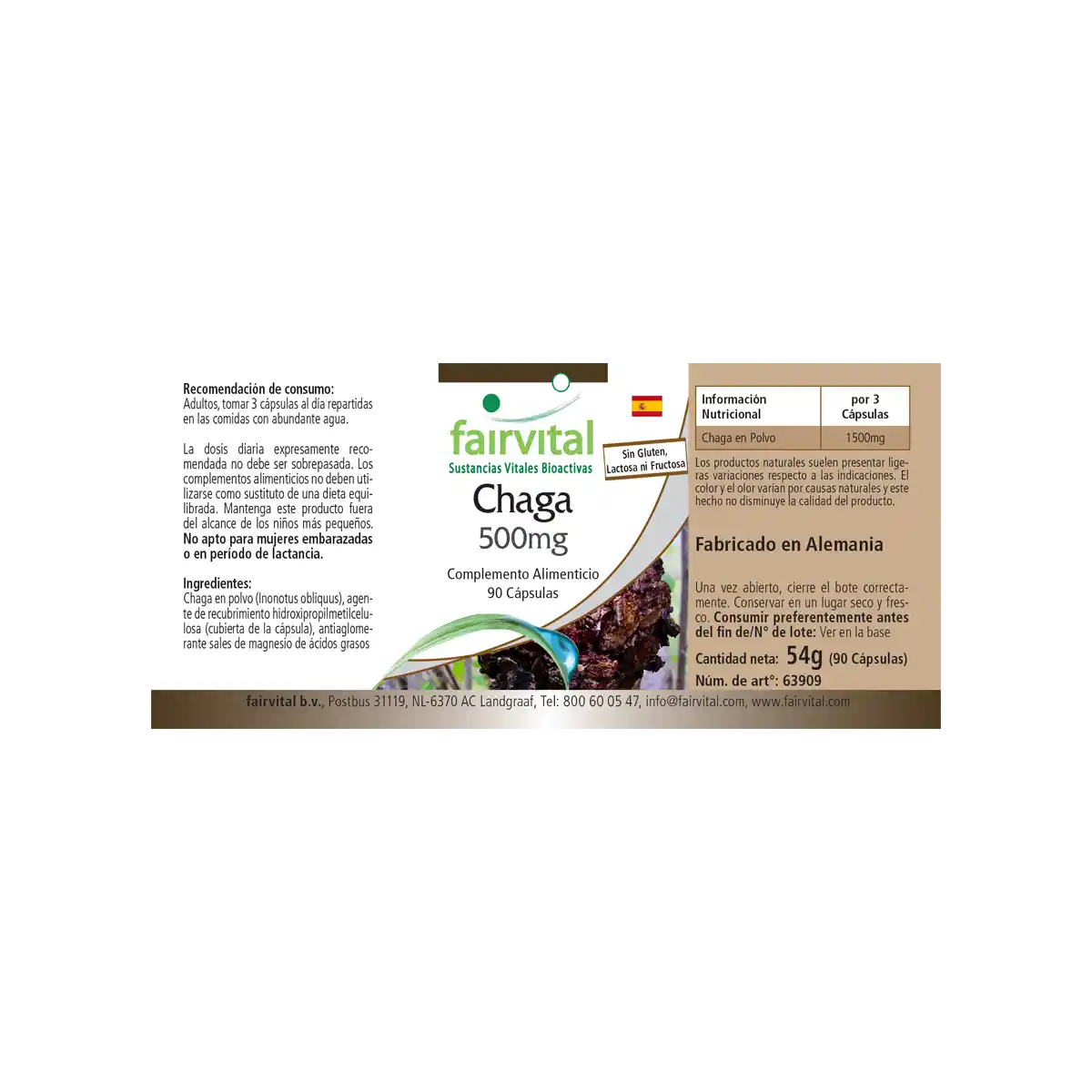 Chaga 500mg - le champignon médicinal - 90 gélules