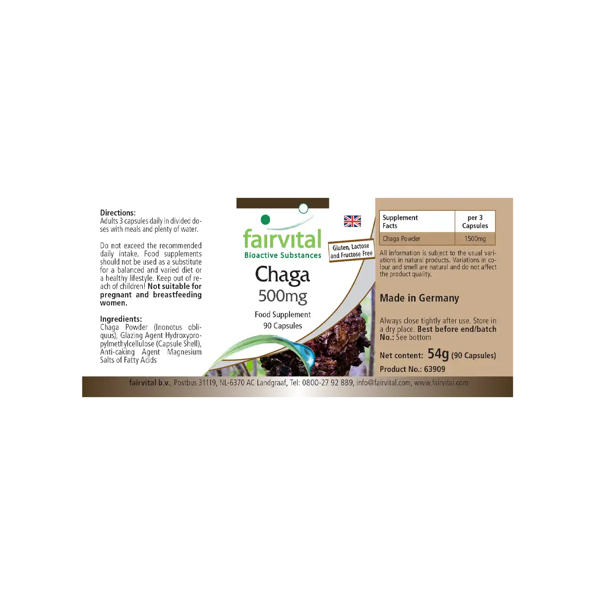 Chaga - Hongo medicinal 500mg - 90 Cápsulas