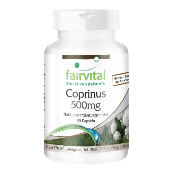 Coprinus 500mg - 90 gélules