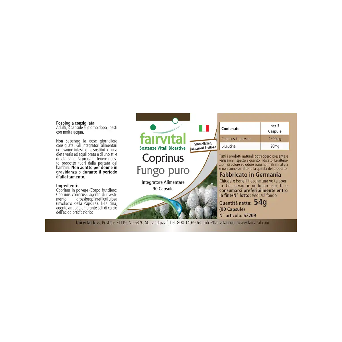 Coprinus 500mg - 90 Capsules